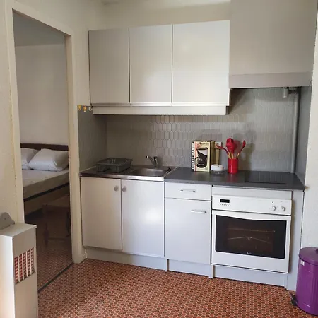 Climatise 4 Pers, Proche Plages Et Commerces, Garage Inclus, Animaux Acceptes - Fr-1-776-87 *