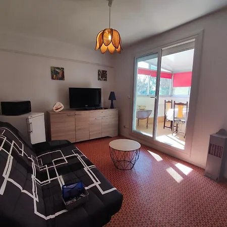 Apartment Climatise 4 Pers, Proche Plages Et Commerces, Garage Inclus, Animaux Acceptes - Fr-1-776-87 Argeles-sur-Mer