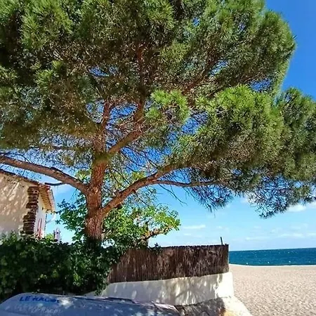 Climatise 4 Pers, Proche Plages Et Commerces, Garage Inclus, Animaux Acceptes - Fr-1-776-87 * Argeles-sur-Mer